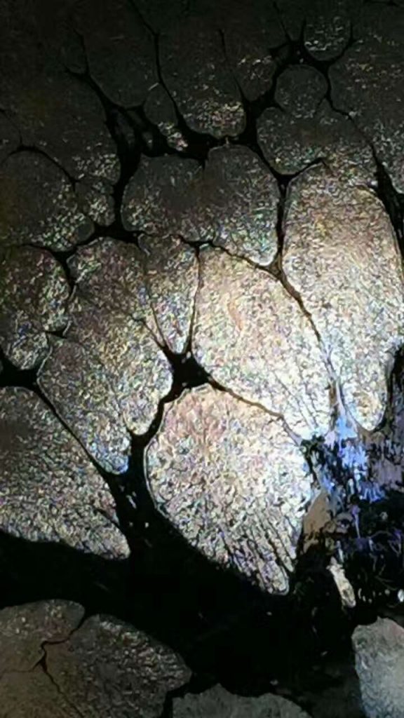 mmexport1493697505422