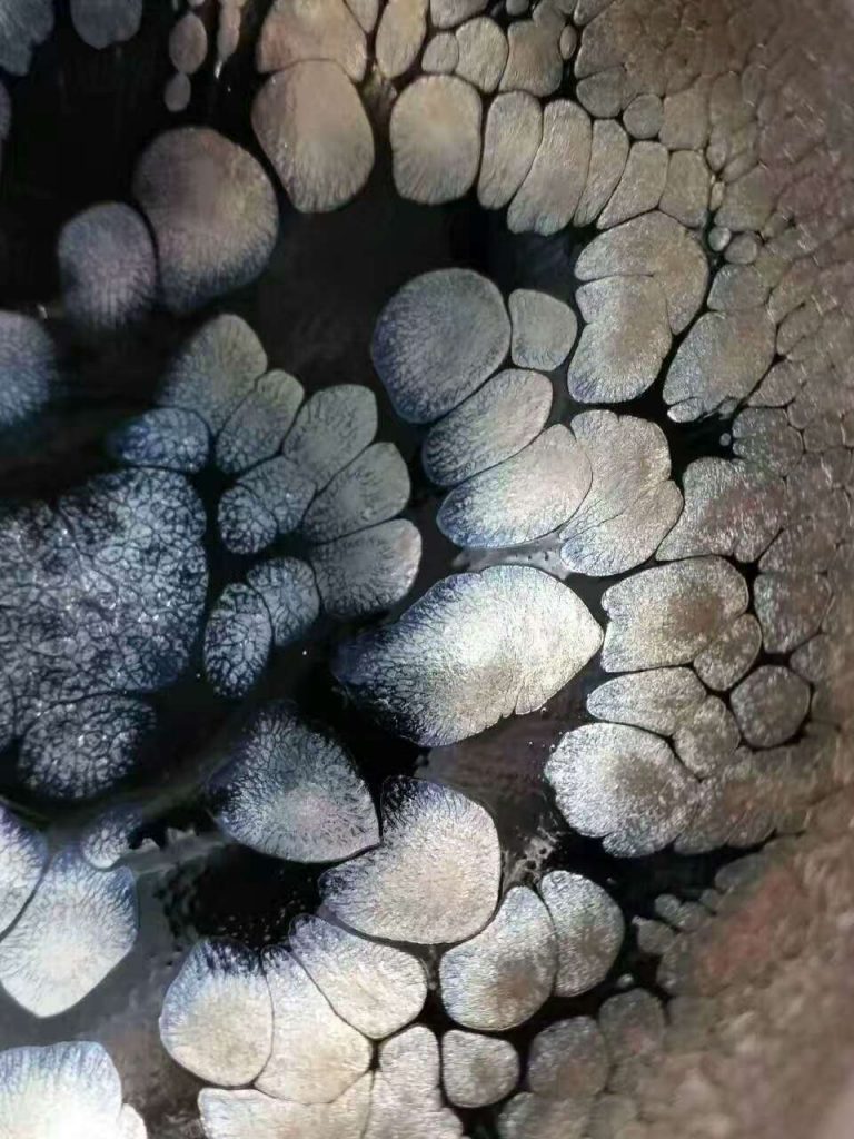 蘭亭敘李光熙“握心”：口9高5.3