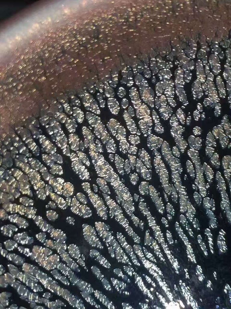 陳國(guó)文銀毫：口9高5 銀滴中帶彩