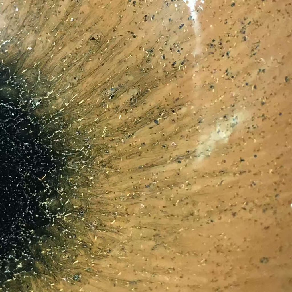 mmexport1494153672793