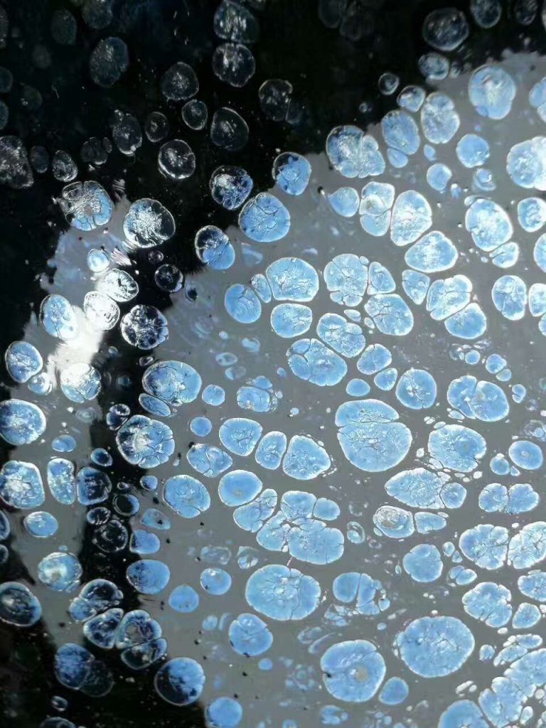 劉學(xué)財(cái)“滿天星”：口9高5，夜空中最亮的星。