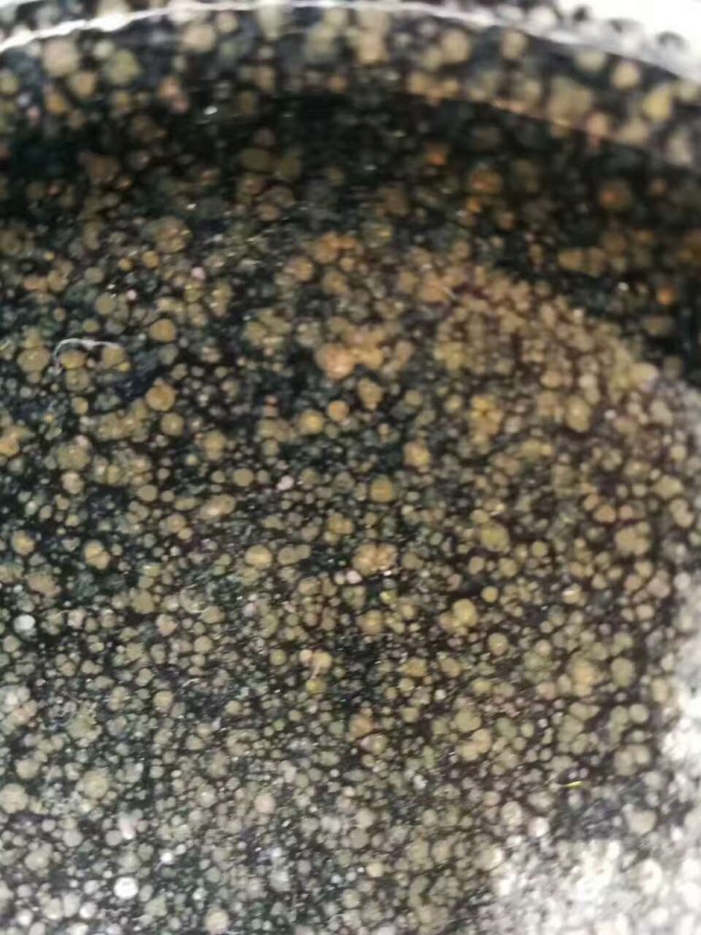 李振貴梅鹿鷓鴣斑9*4.5