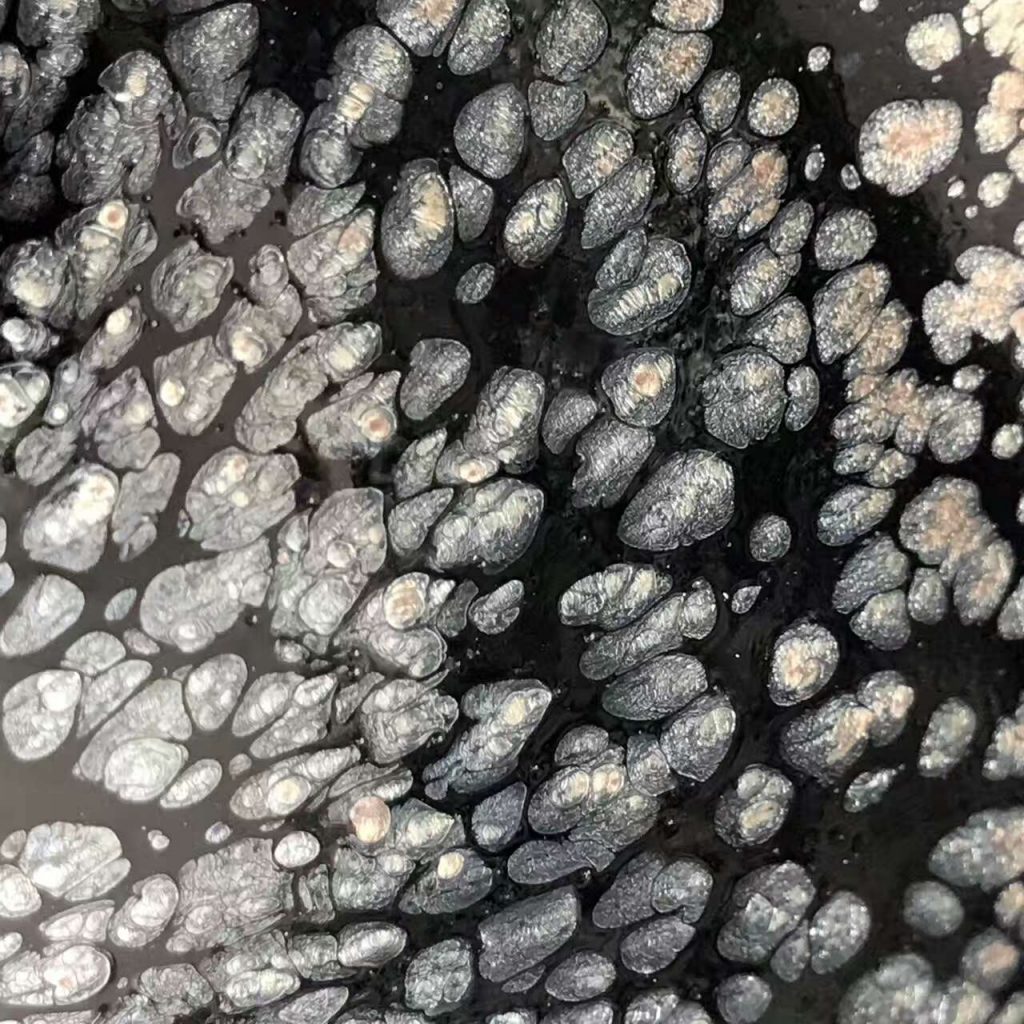 mmexport1495340796136