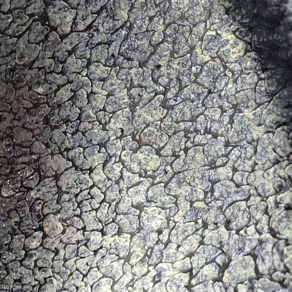 mmexport1497356973895