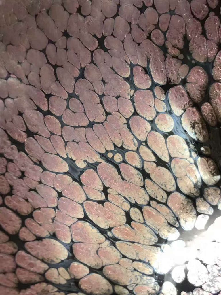 朱芳麗師傅，新品，紫金油滴盞，口徑8.3高5.5