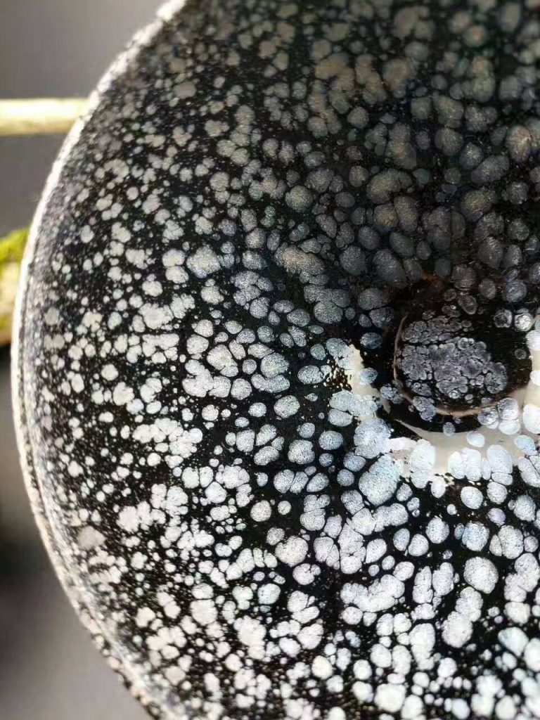 mmexport1498614414479