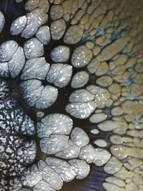 mmexport1500206424015