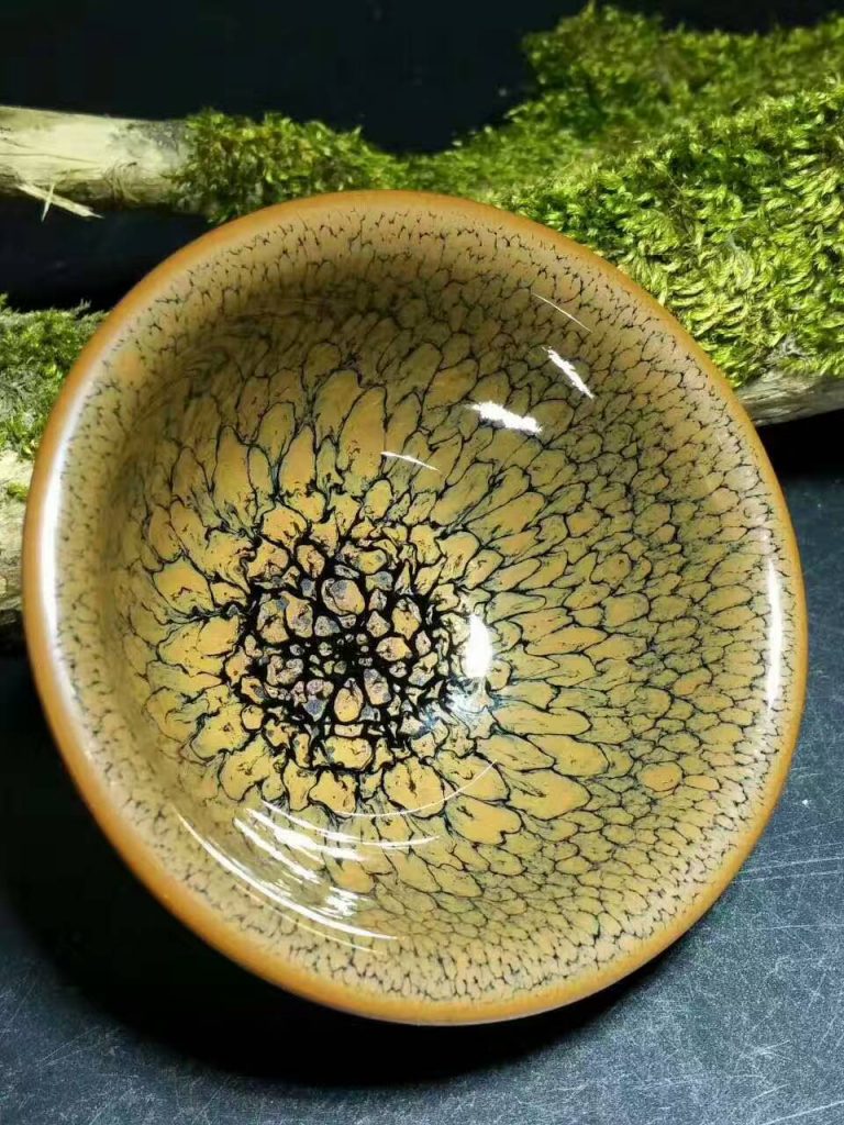 陳大鵬黃鷓鴣：口6.8高3.8