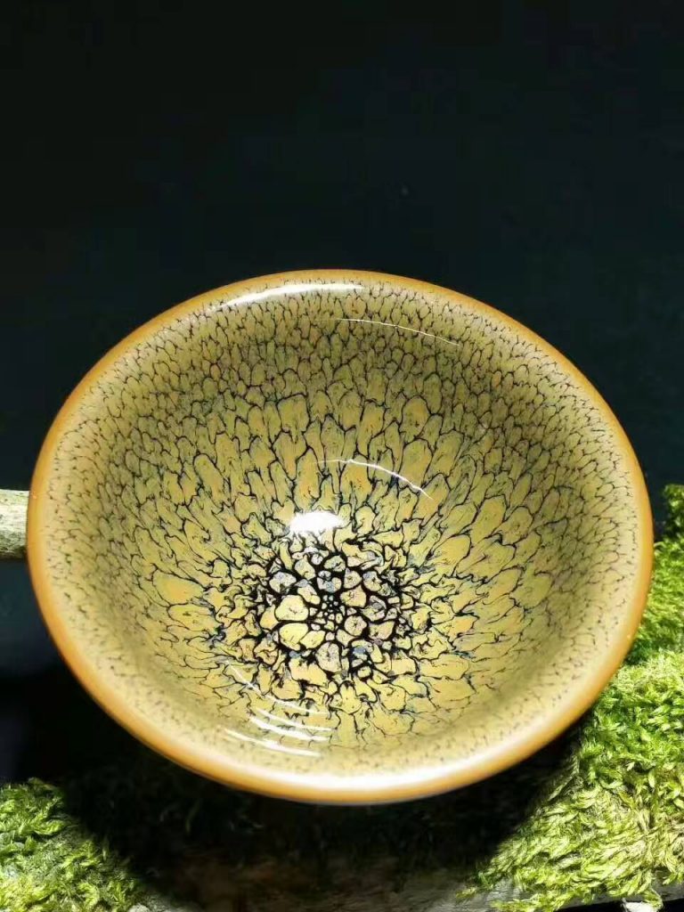 陳大鵬黃鷓鴣：口6.8高3.8