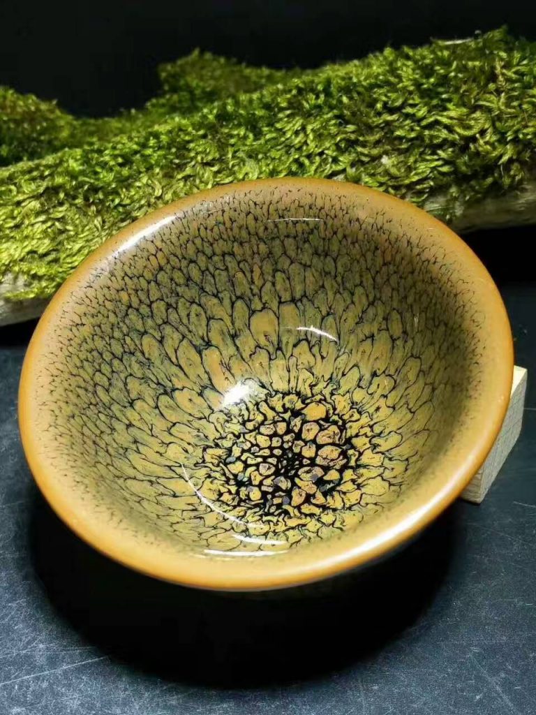 陳大鵬黃鷓鴣：口6.8高3.8