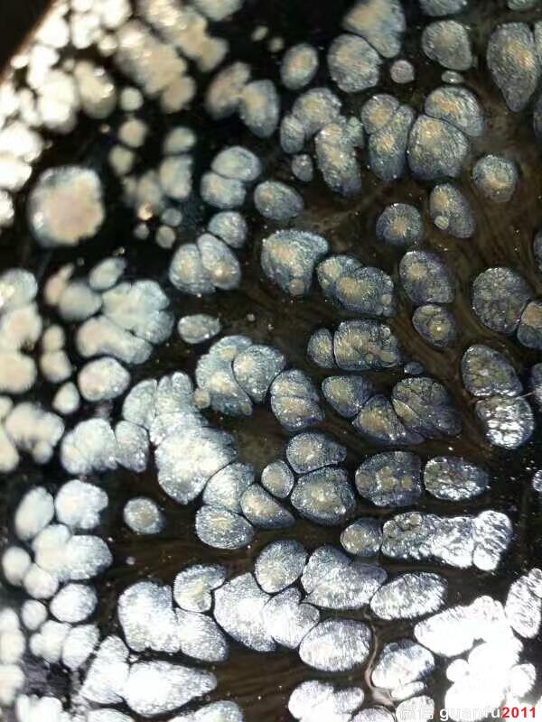 mmexport1502785233333