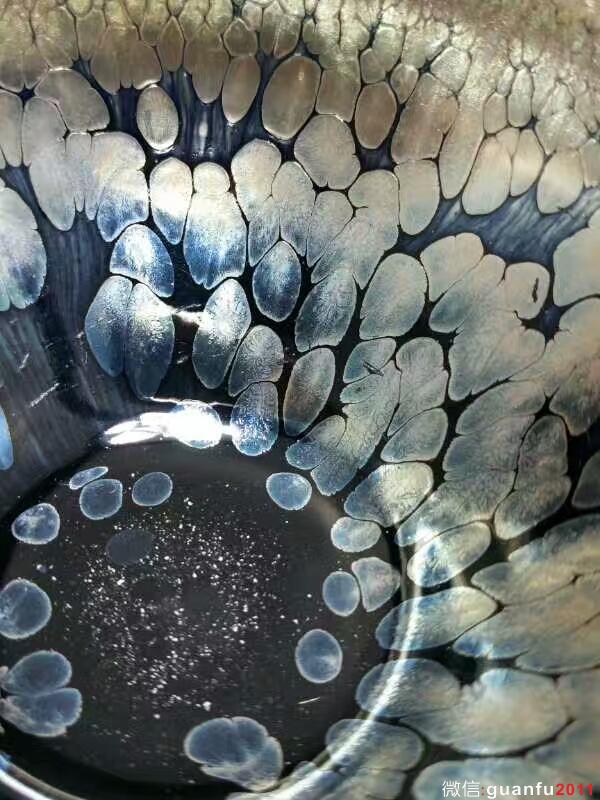 mmexport1502870313957