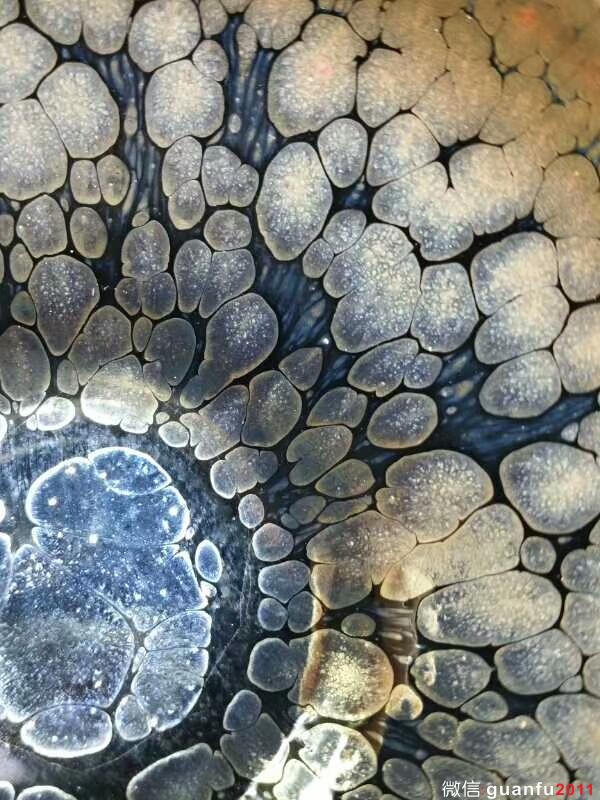 mmexport1504607693356