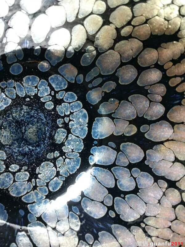 mmexport1504947832514