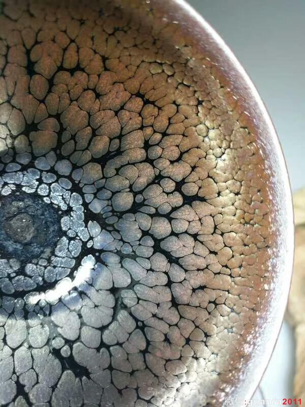 mmexport1504948249506