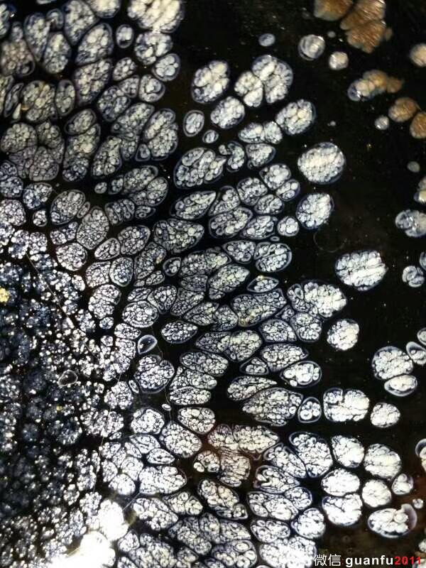 mmexport1506176866018