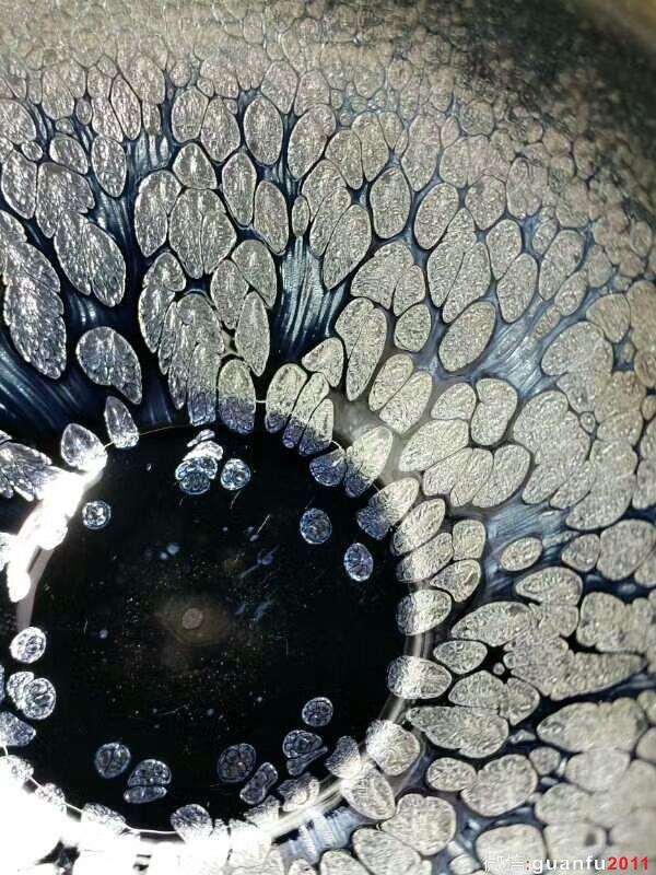 陳慧敏“羽鱗”：口8.7高5.6，油滴飽滿。