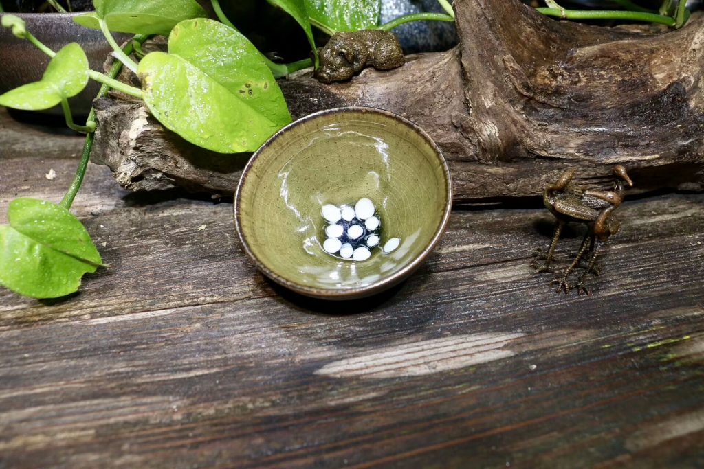 mmexport1506607809103