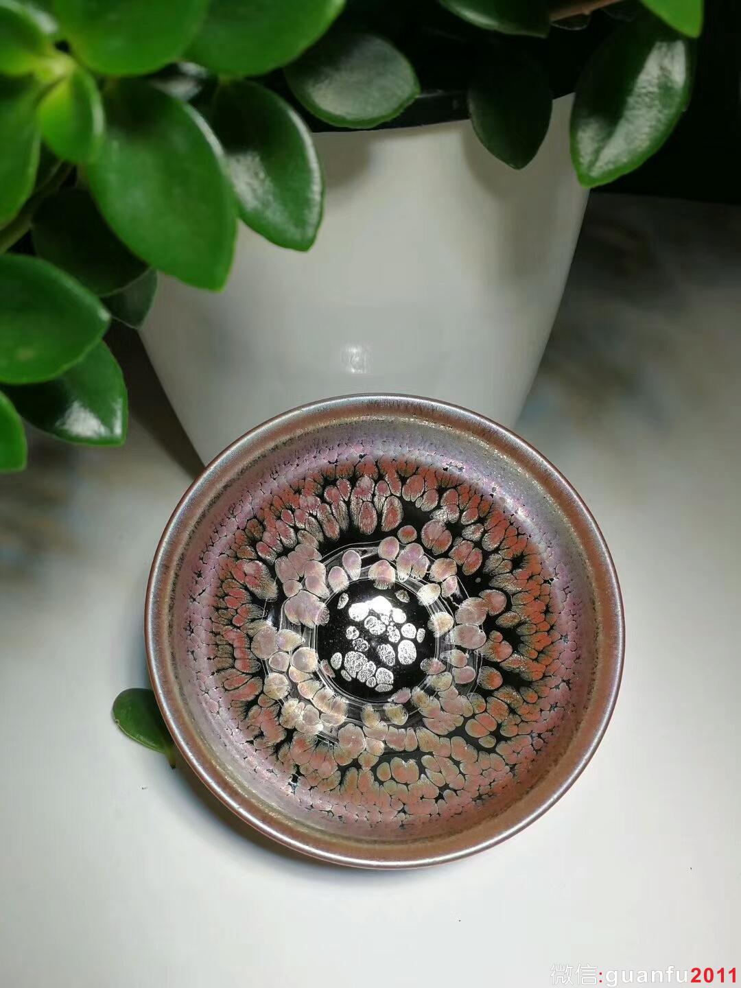 mmexport1508577887726