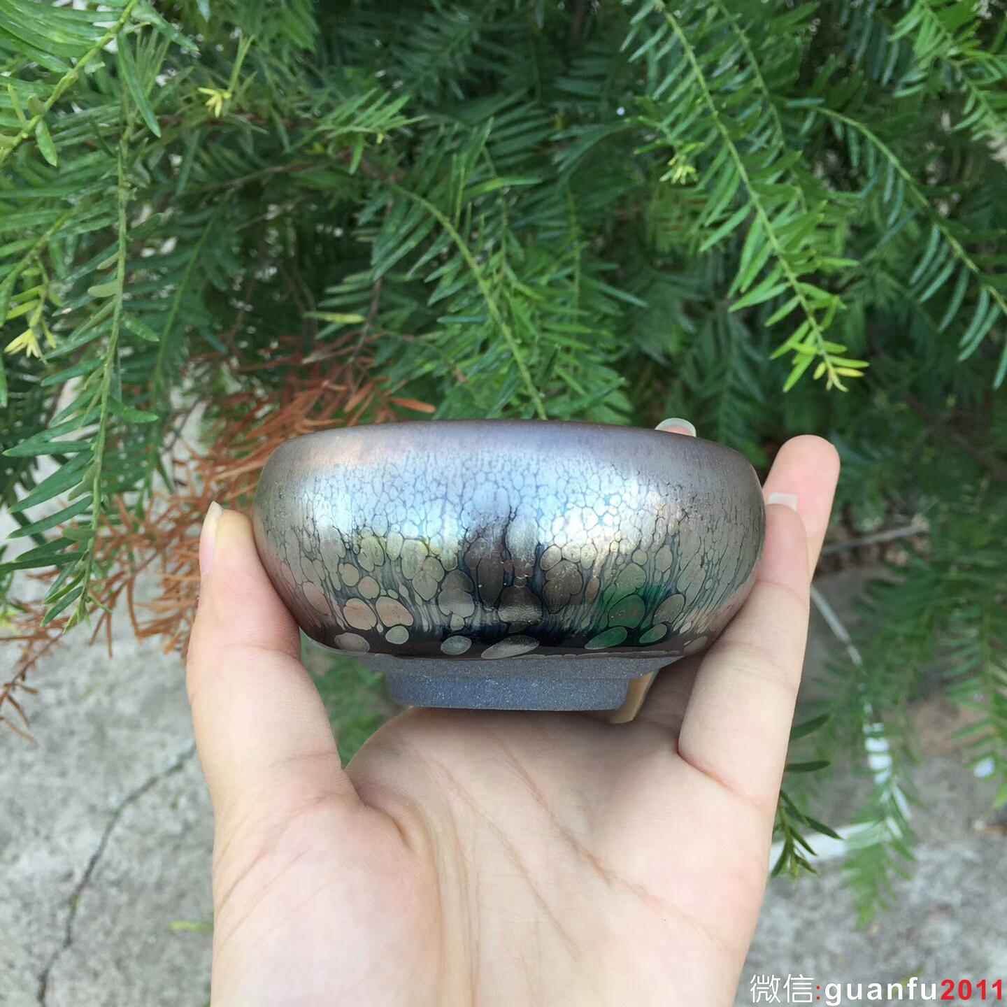 mmexport1508752085221