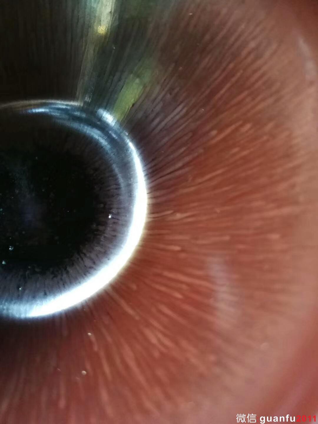 葉禮忠紫氣東來九五至尊盞：口徑9*5