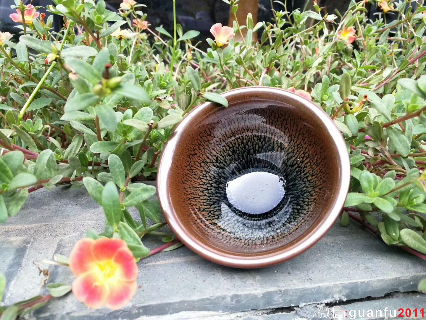 mmexport1509359080394