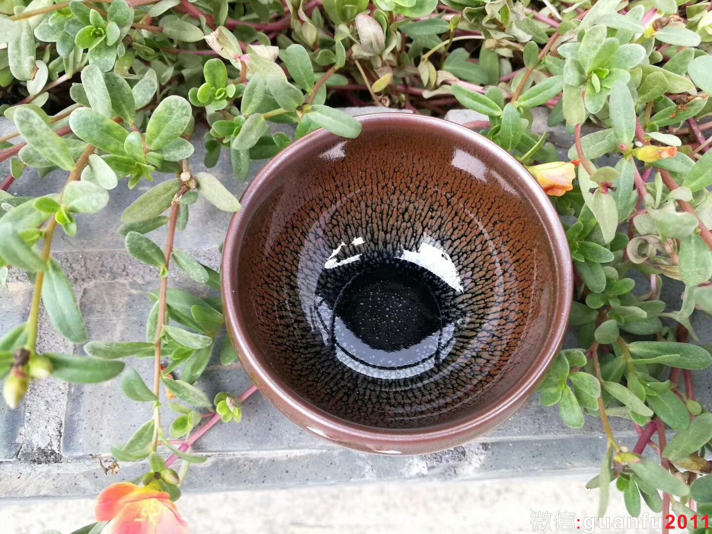 mmexport1509359095495