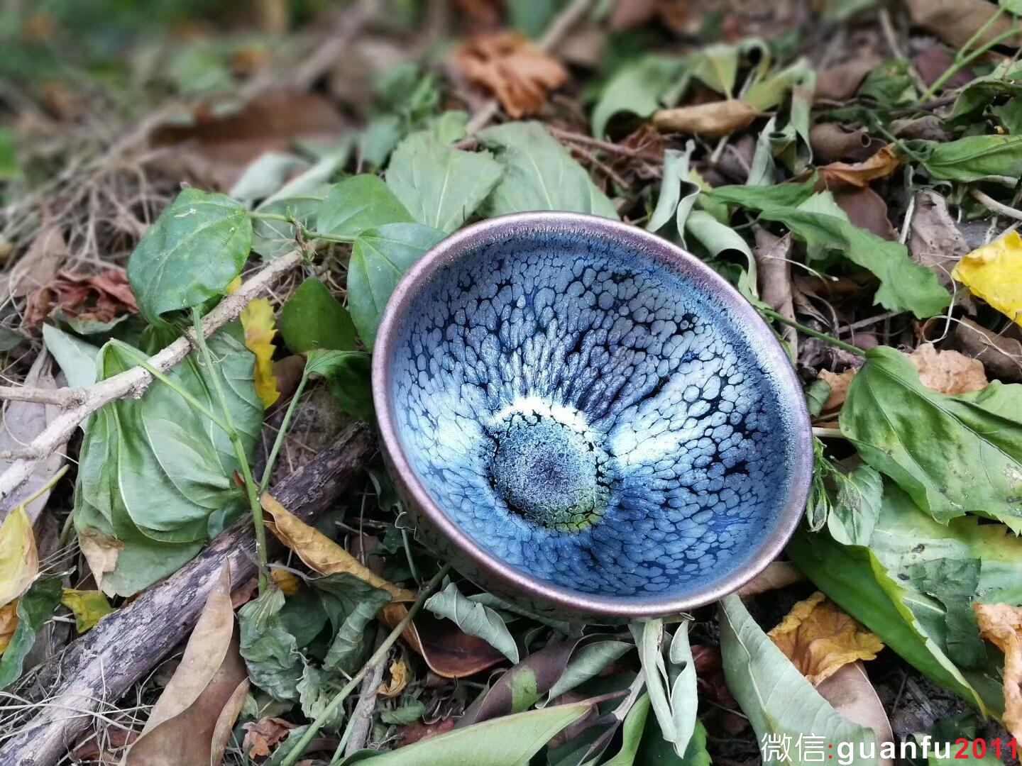 范奇明“藍(lán)油滴”：口徑8.8*5.3 油滴飽滿