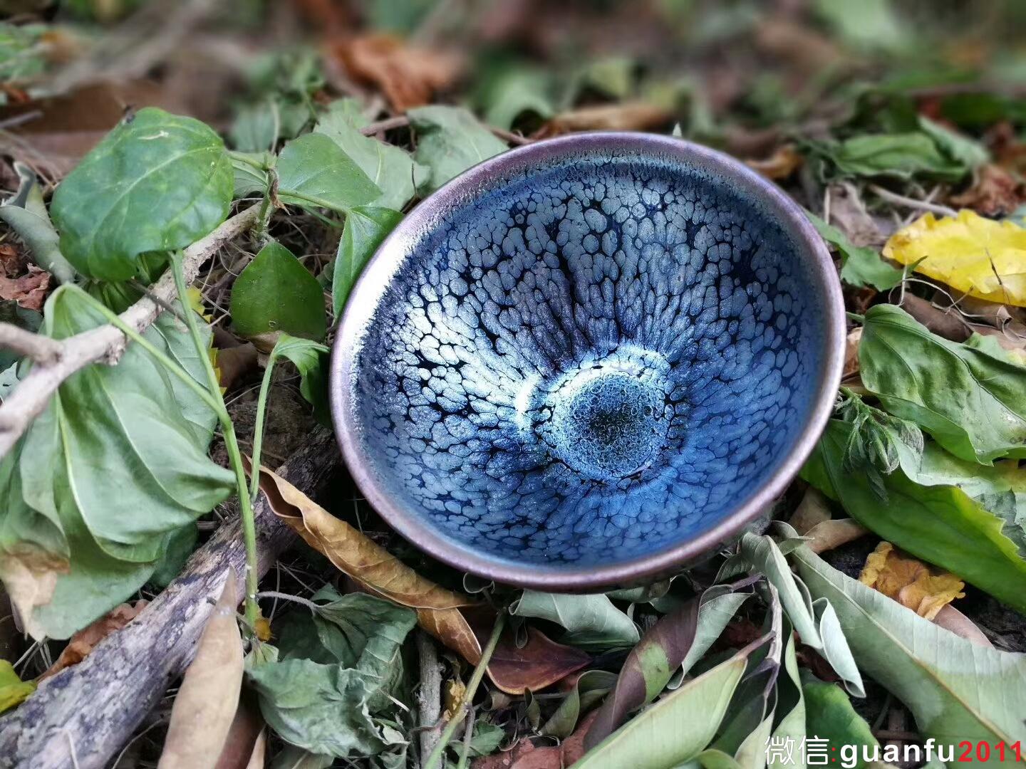 范奇明“藍(lán)油滴”：口徑8.8*5.3 油滴飽滿