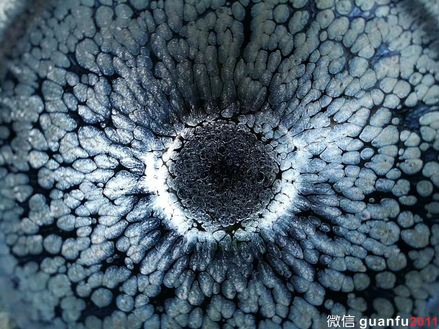 范奇明“藍(lán)油滴”：口徑8.8*5.3 油滴飽滿