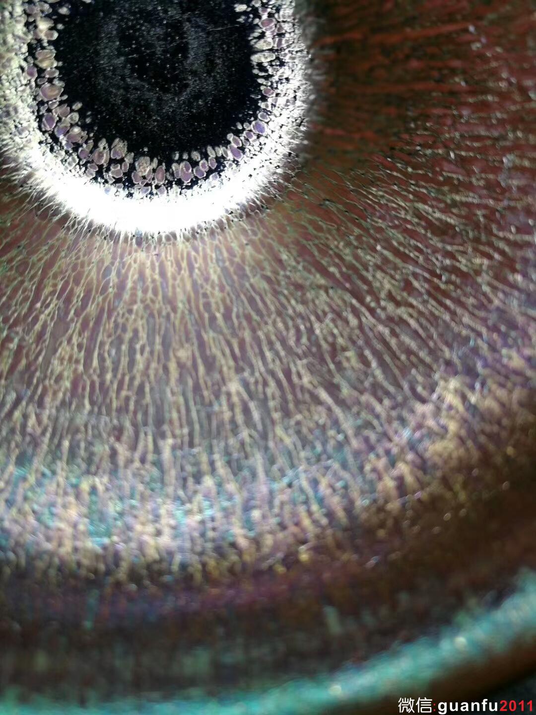 mmexport1509774158069