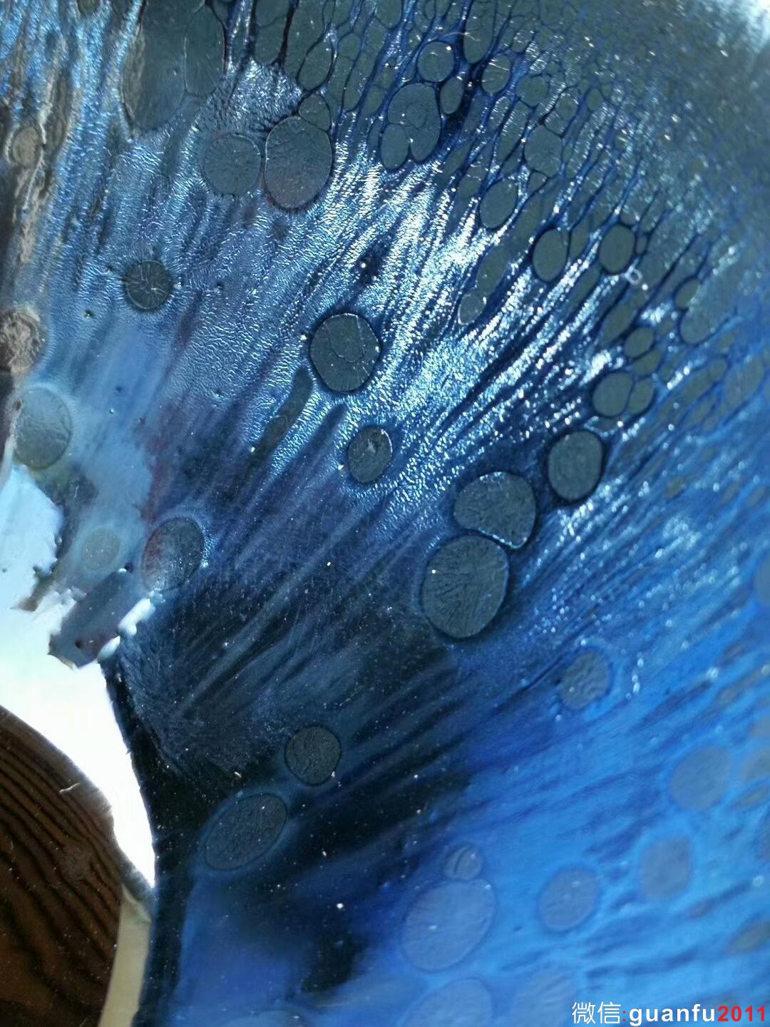 mmexport1509779804967