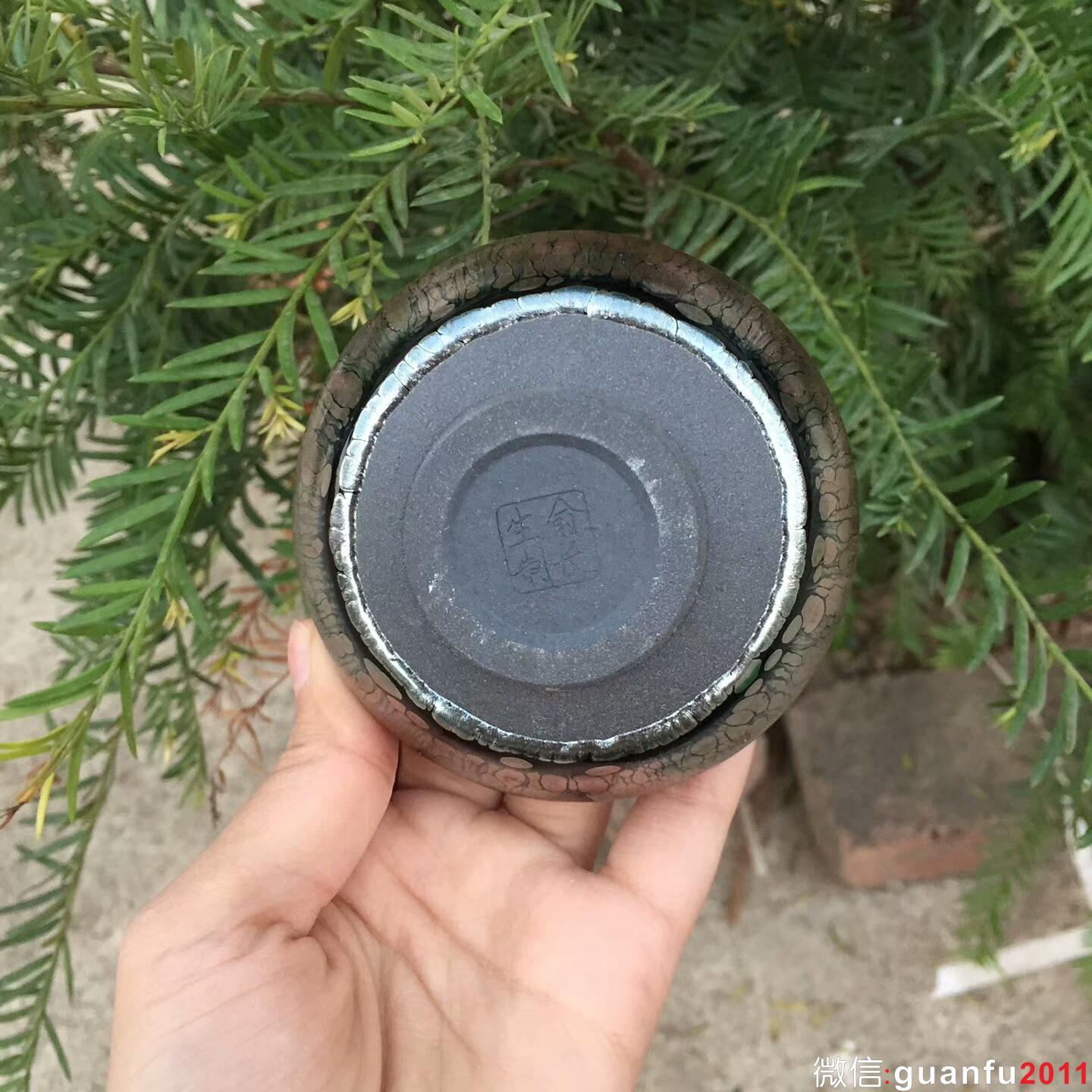 mmexport1510479196437