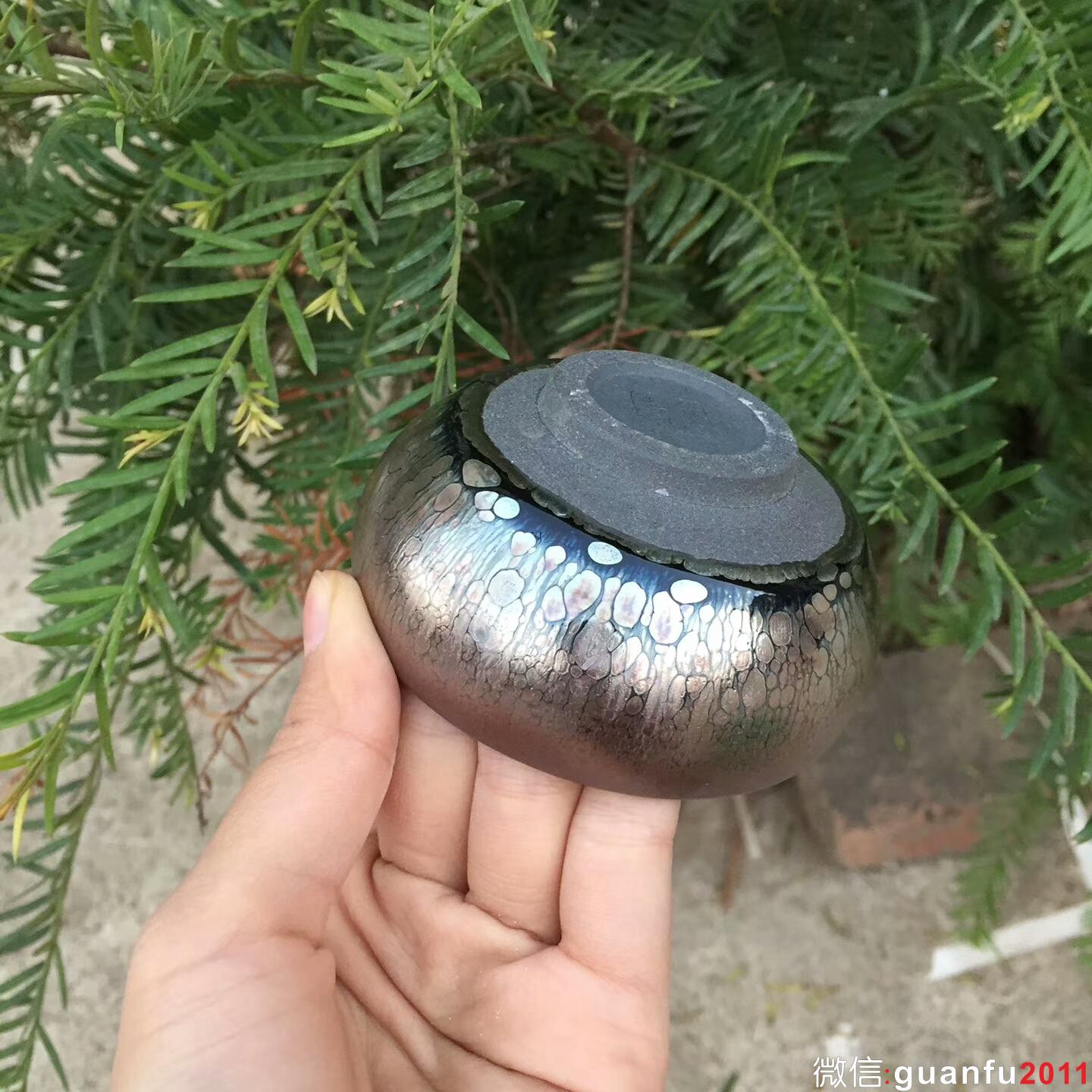 mmexport1510479200294