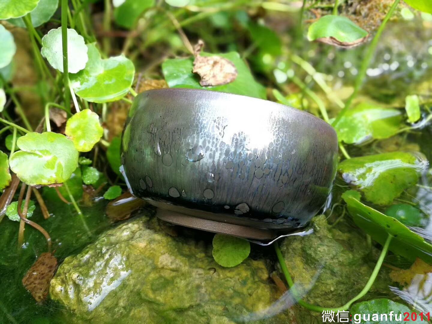 mmexport1511004590292