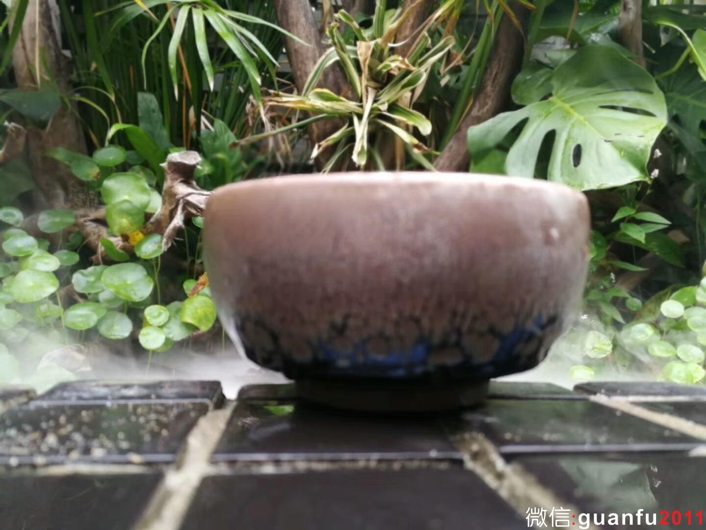 mmexport1511074127525