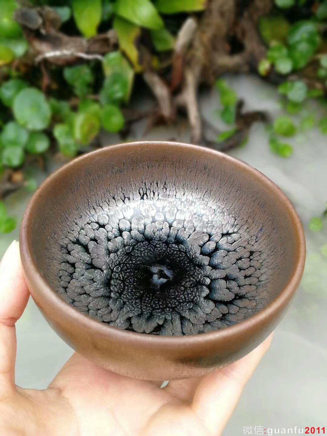 mmexport1511787566369