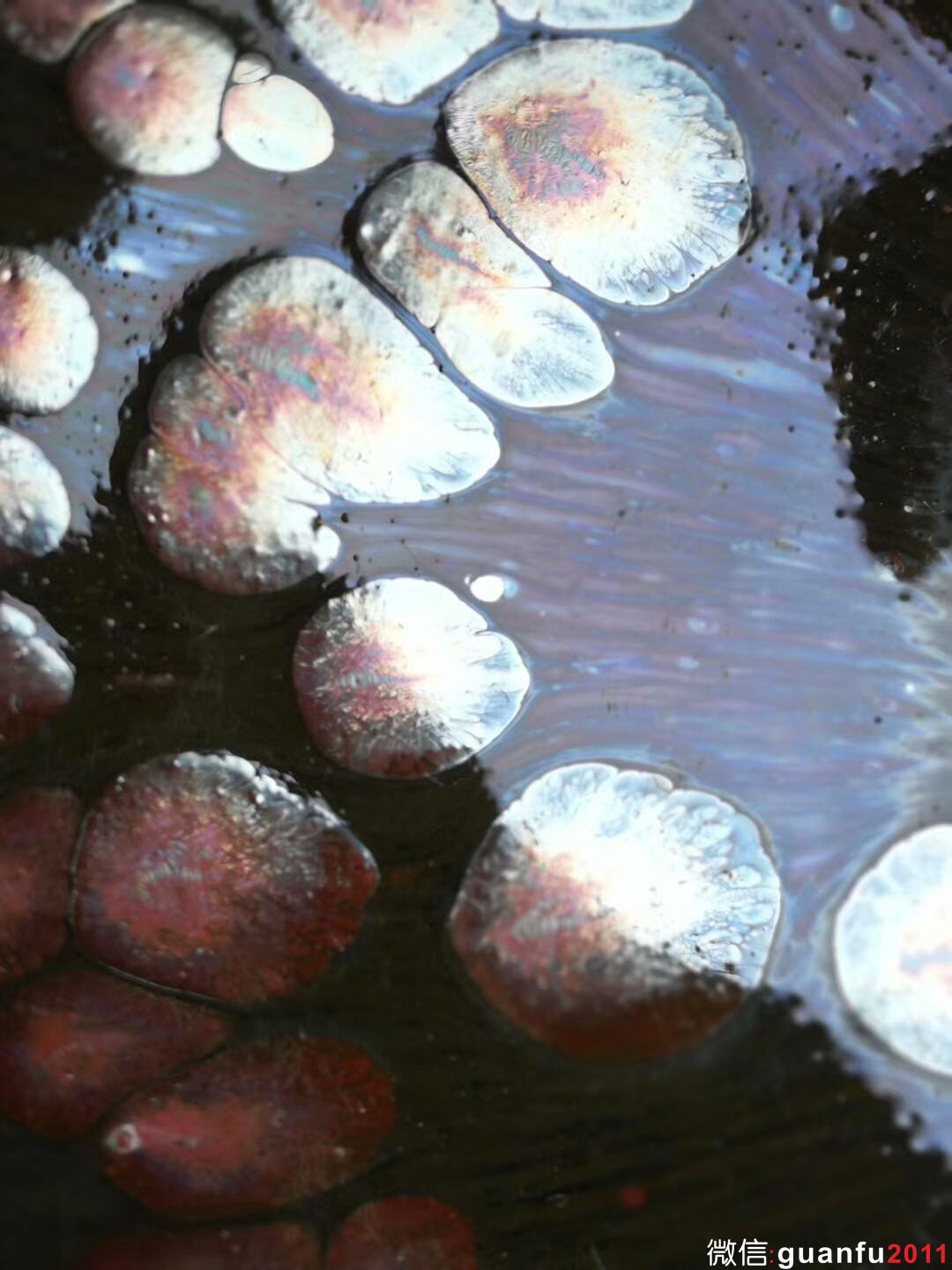 mmexport1512028946503