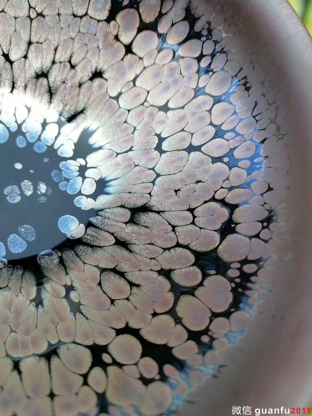 張俊翔“粉斑”：口徑9*5