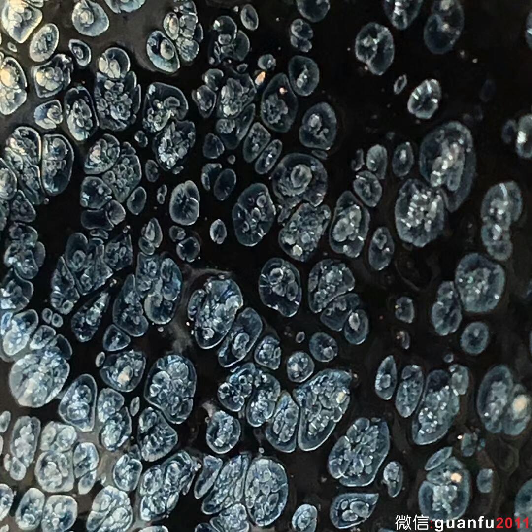 mmexport1513418669372