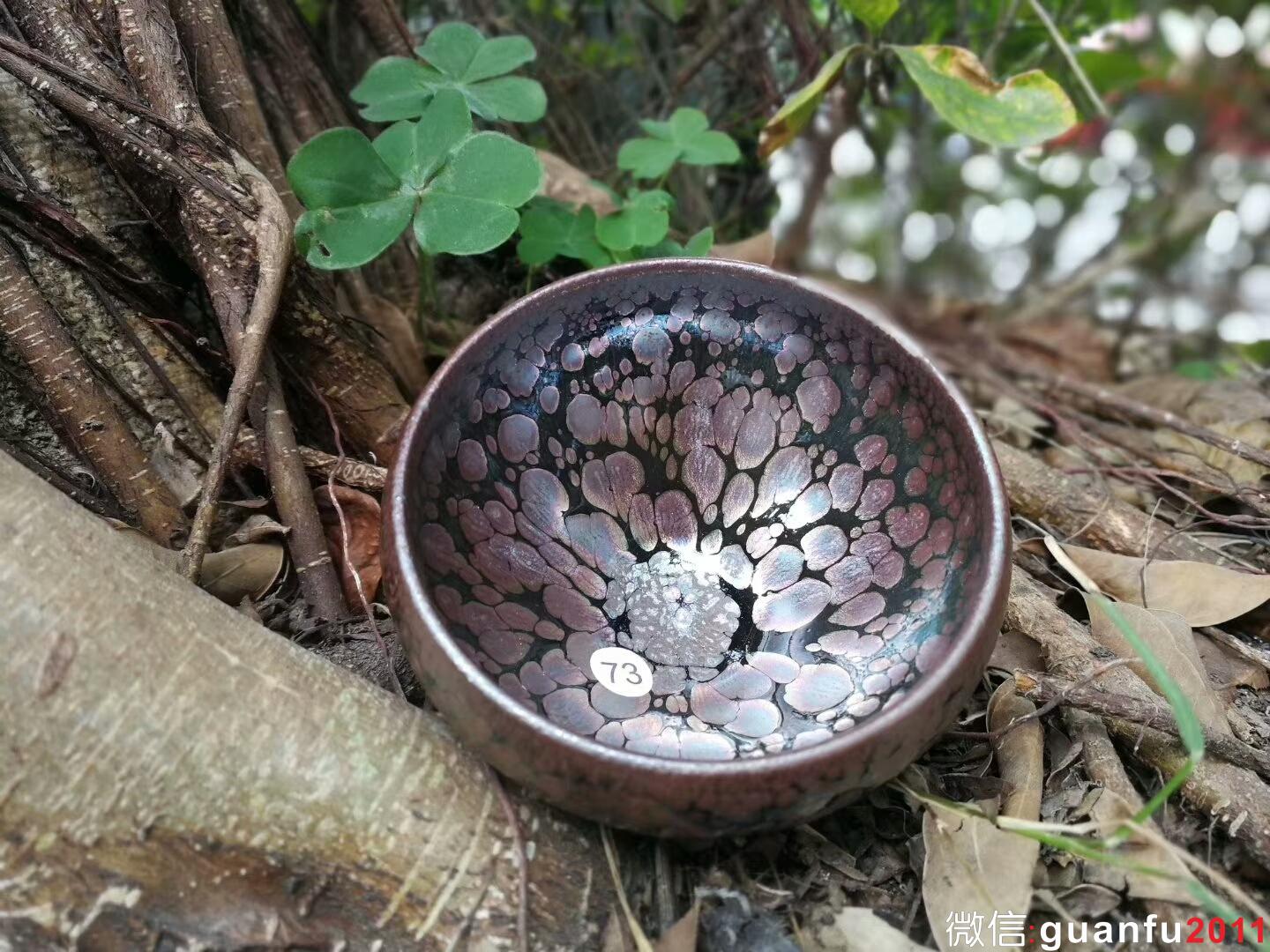 mmexport1515313983036