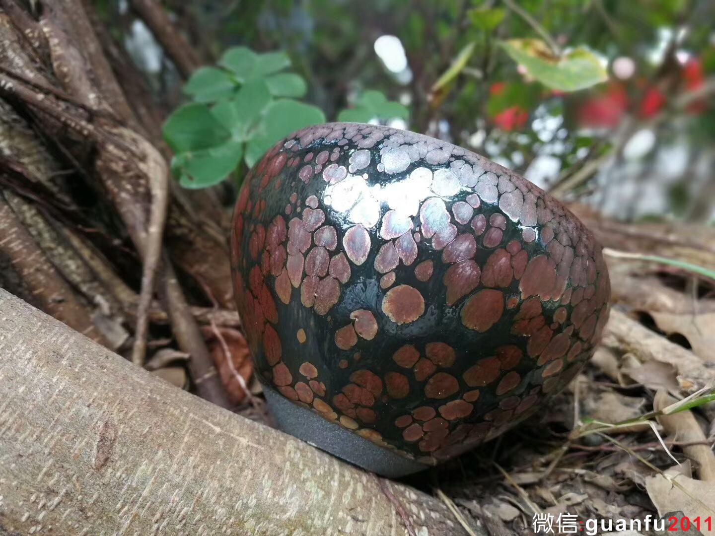 mmexport1515313989283