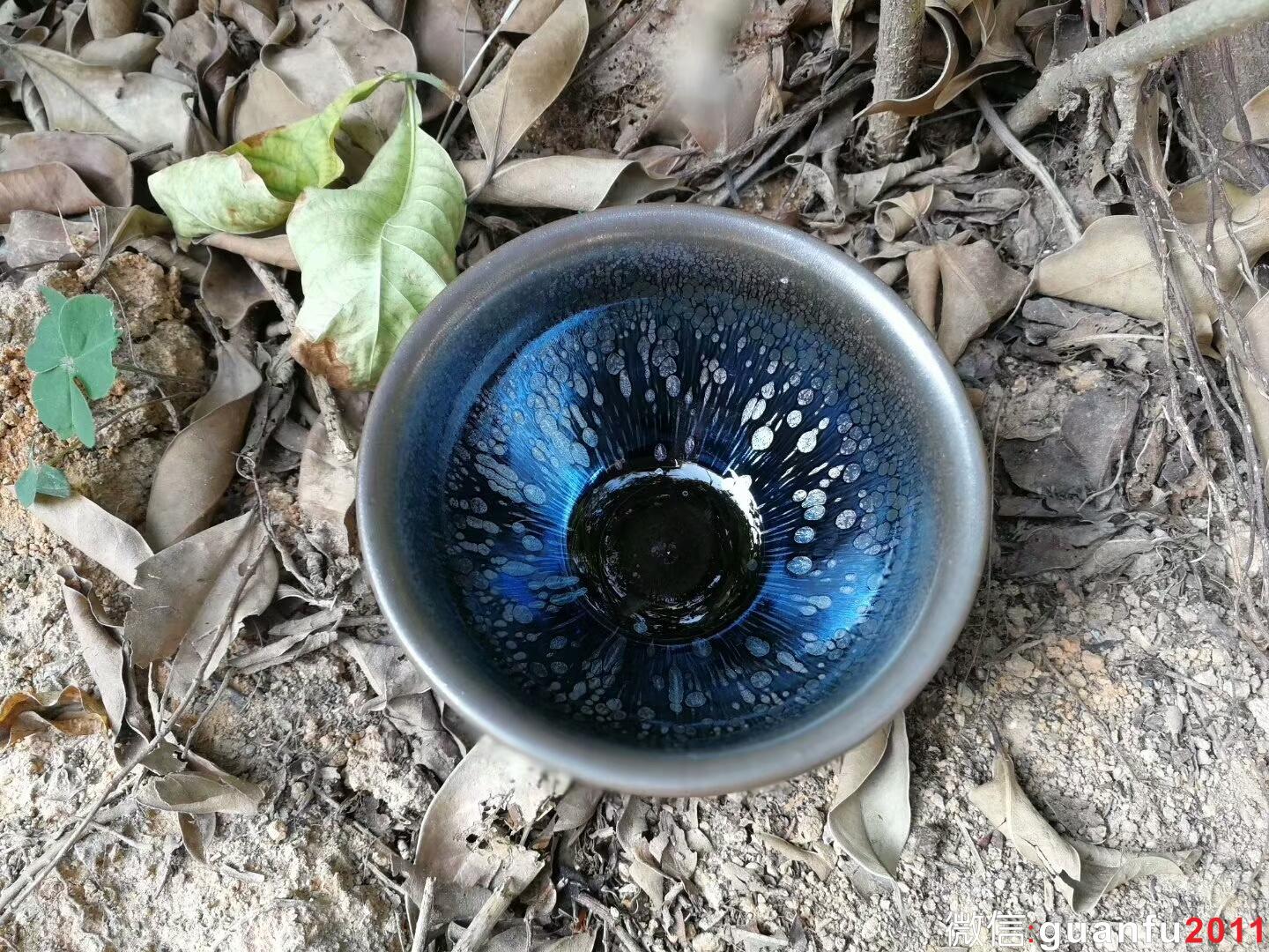 mmexport1515324926538