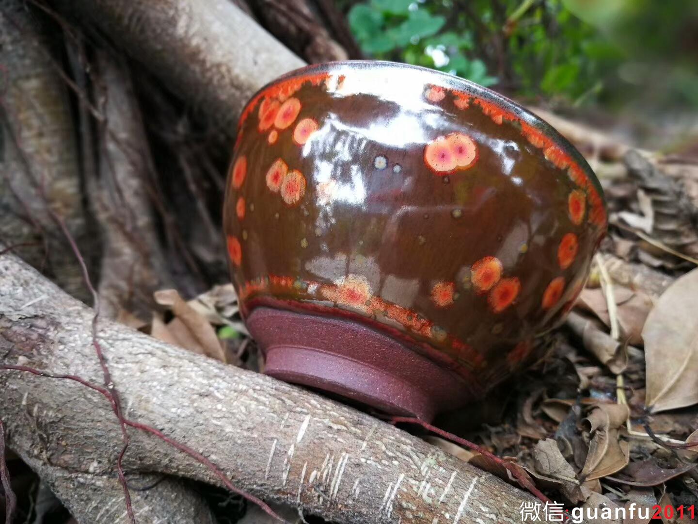 mmexport1515325316929