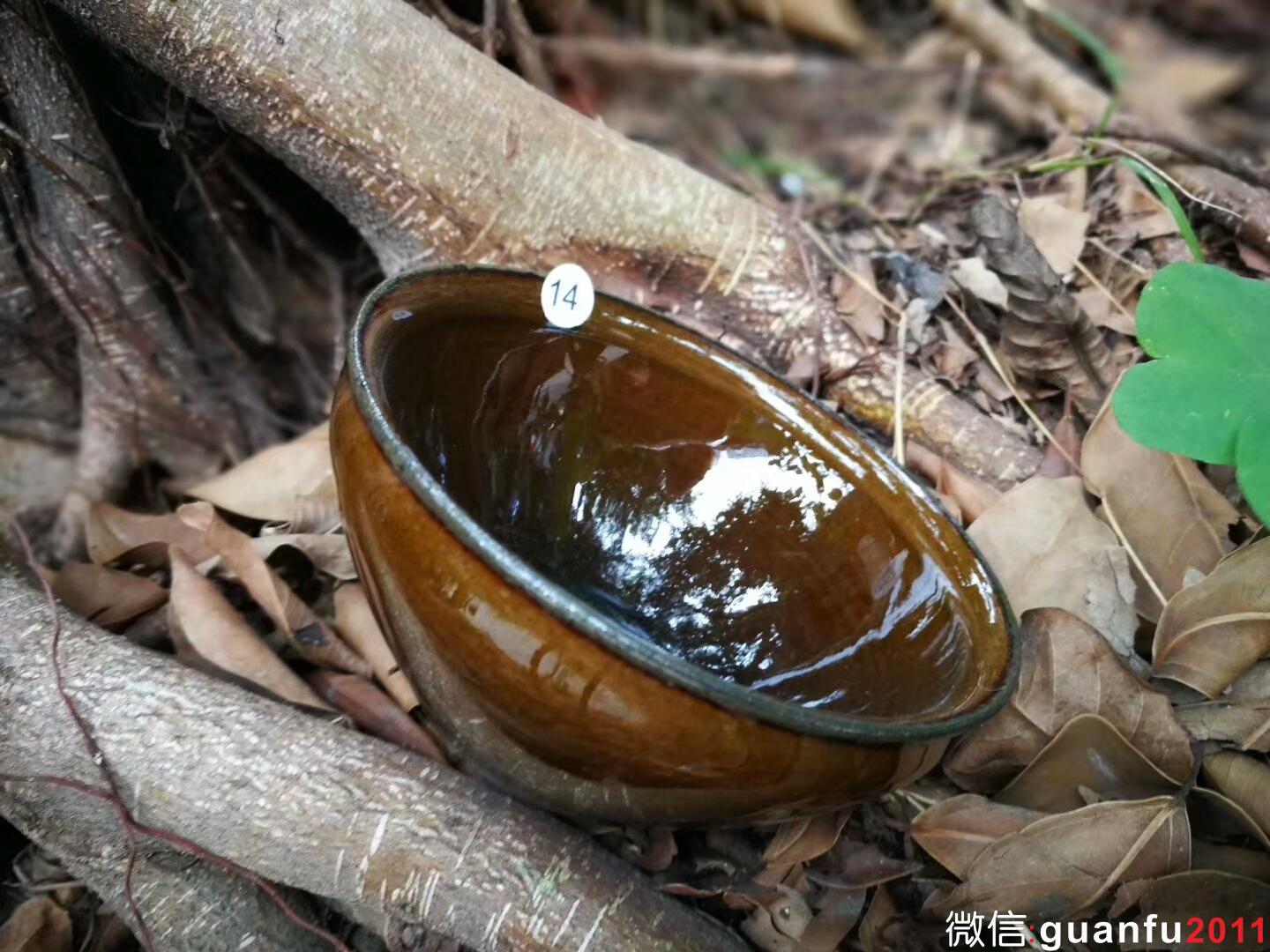 mmexport1515325487010