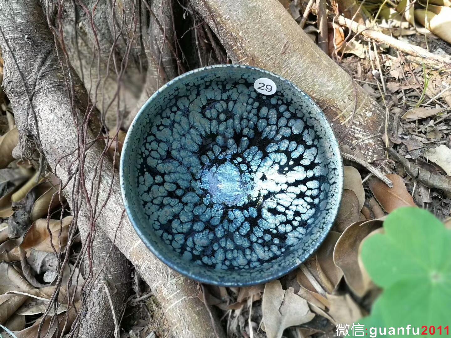 mmexport1515576822482