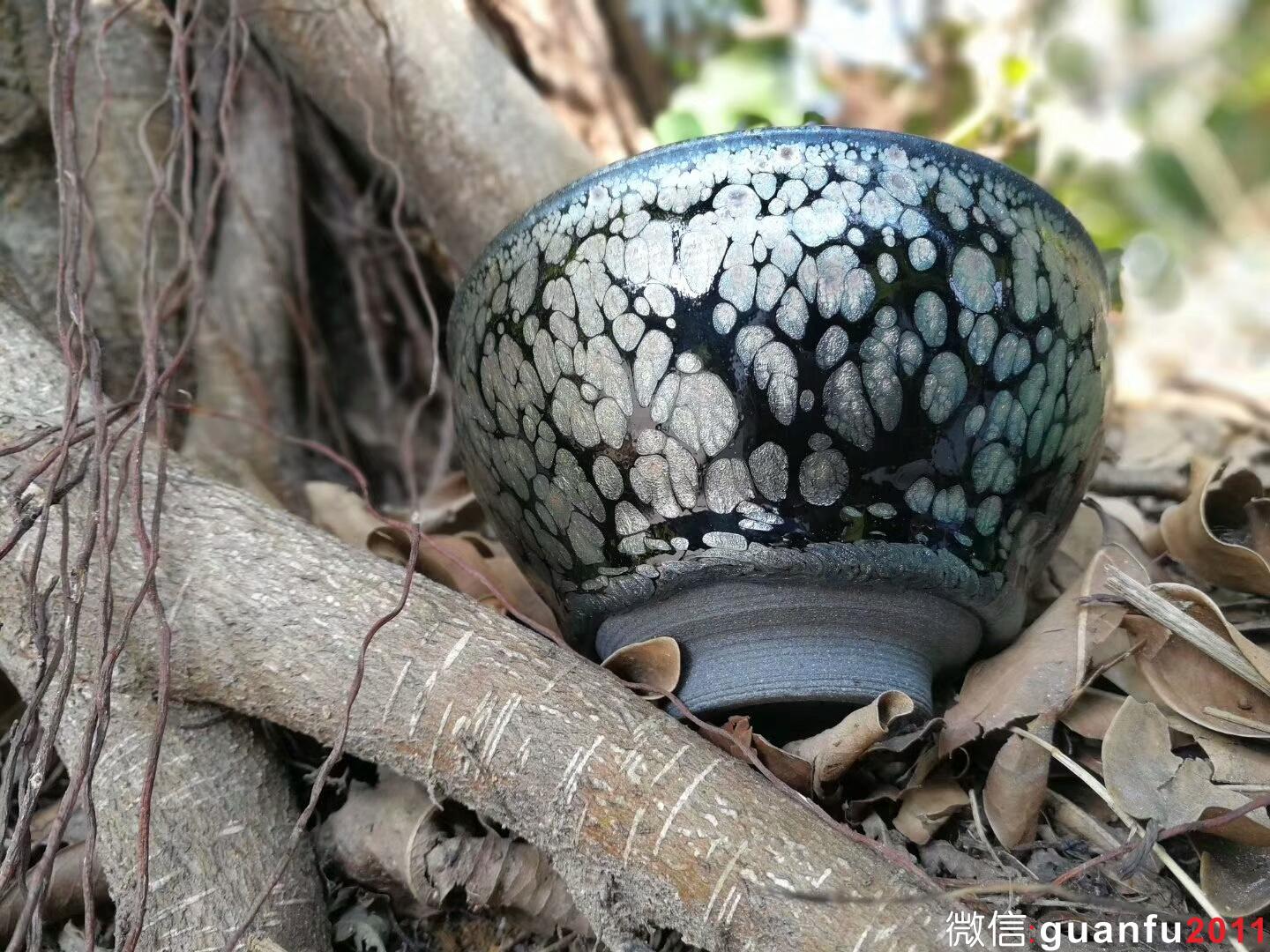 mmexport1515576830852