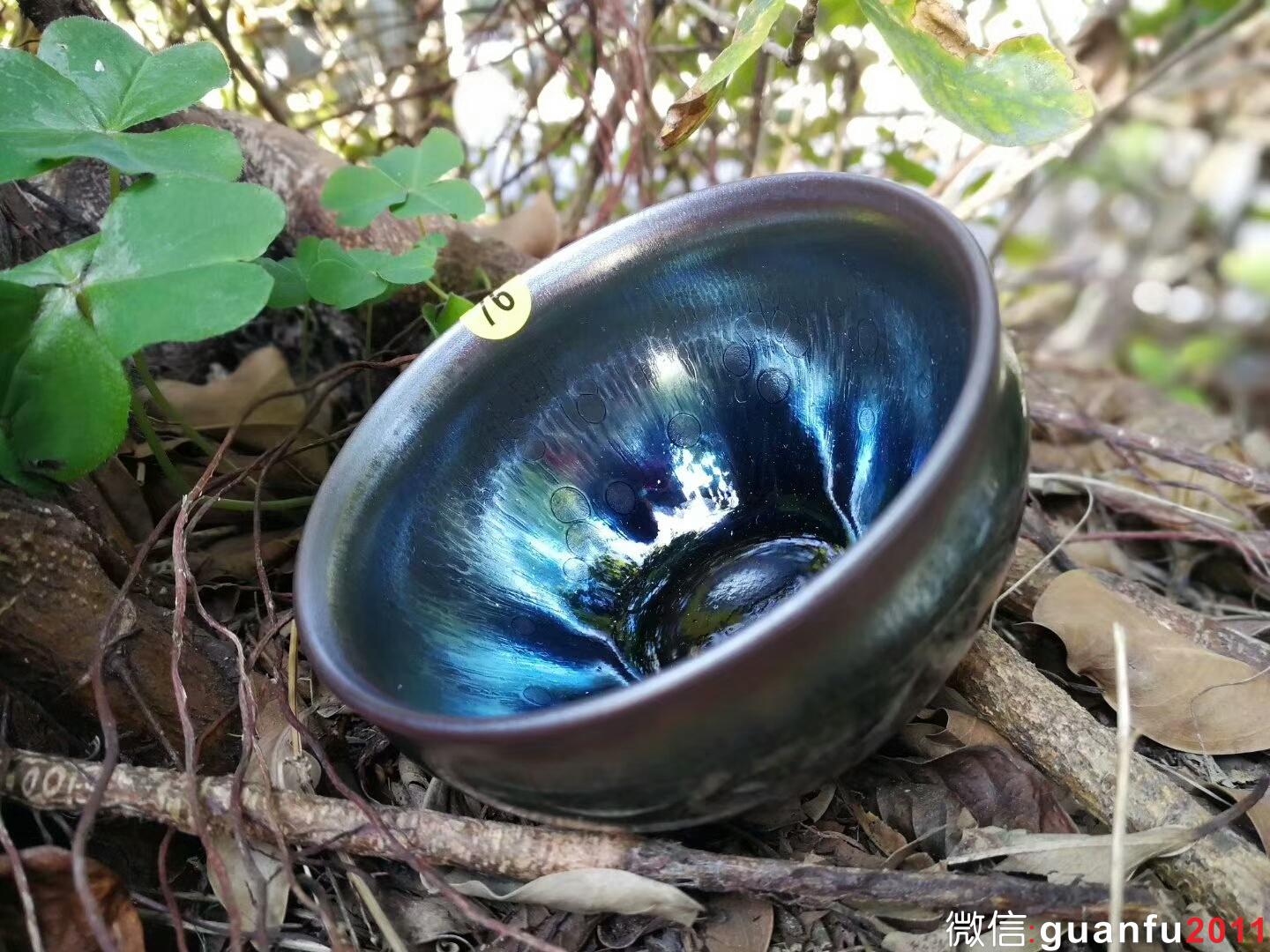 mmexport1516686341000