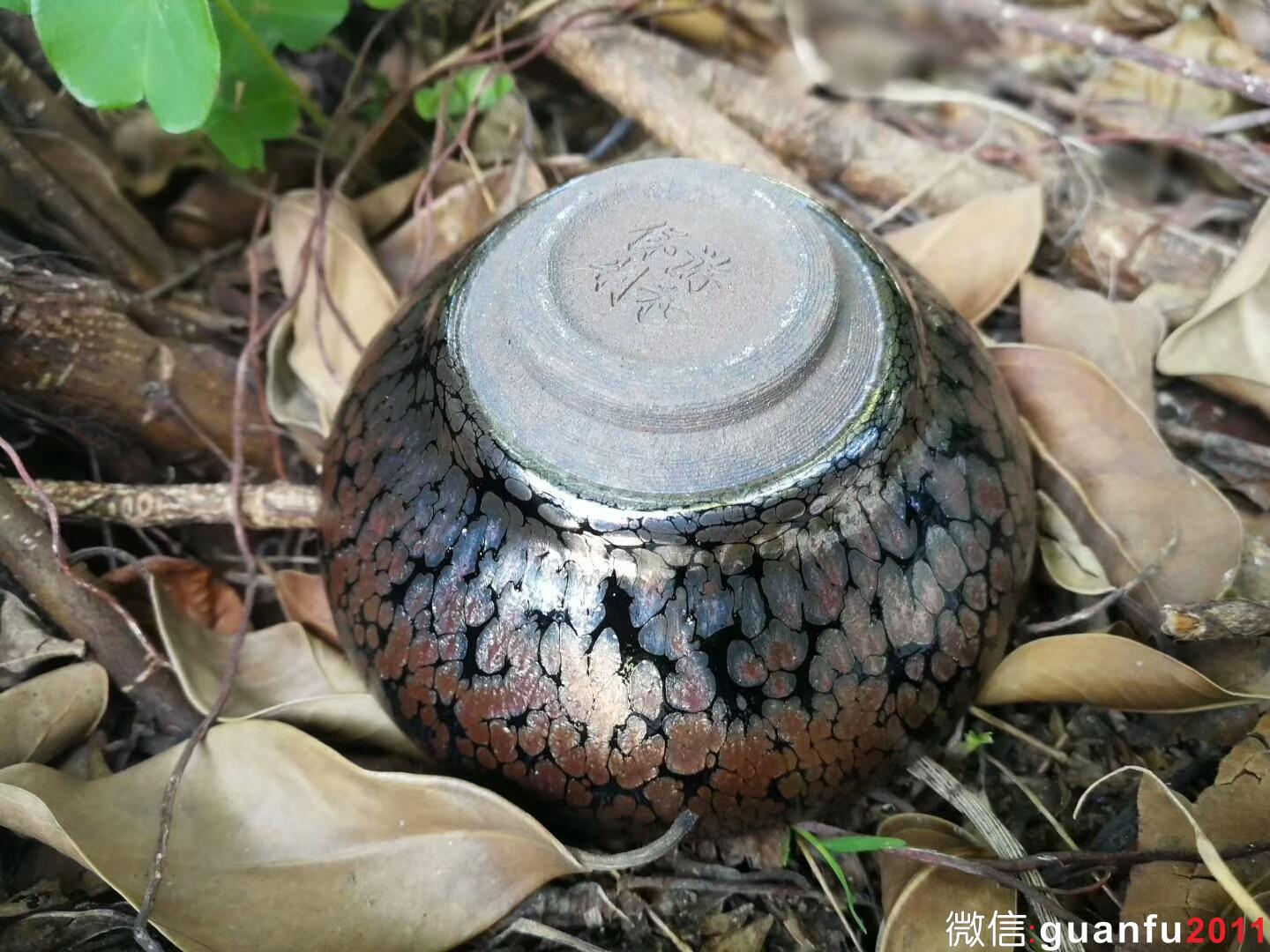 mmexport1516687677514