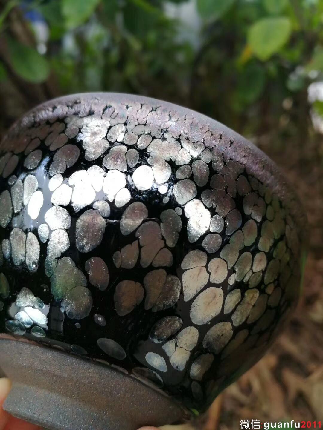 mmexport1516688679739